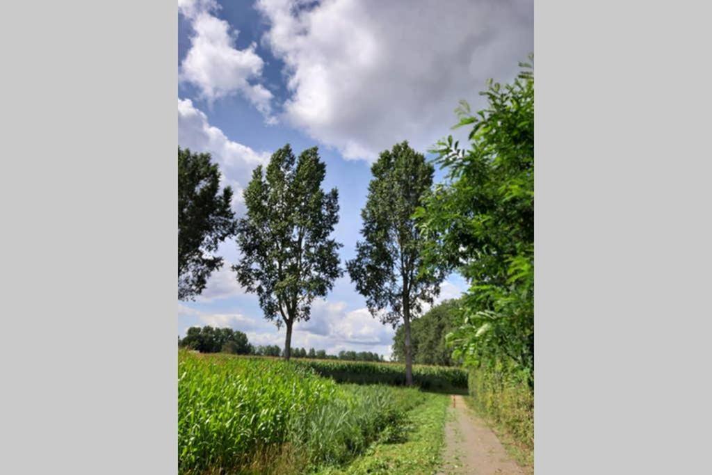 Brabants Genoegen Heeswijk Dinther מראה חיצוני תמונה